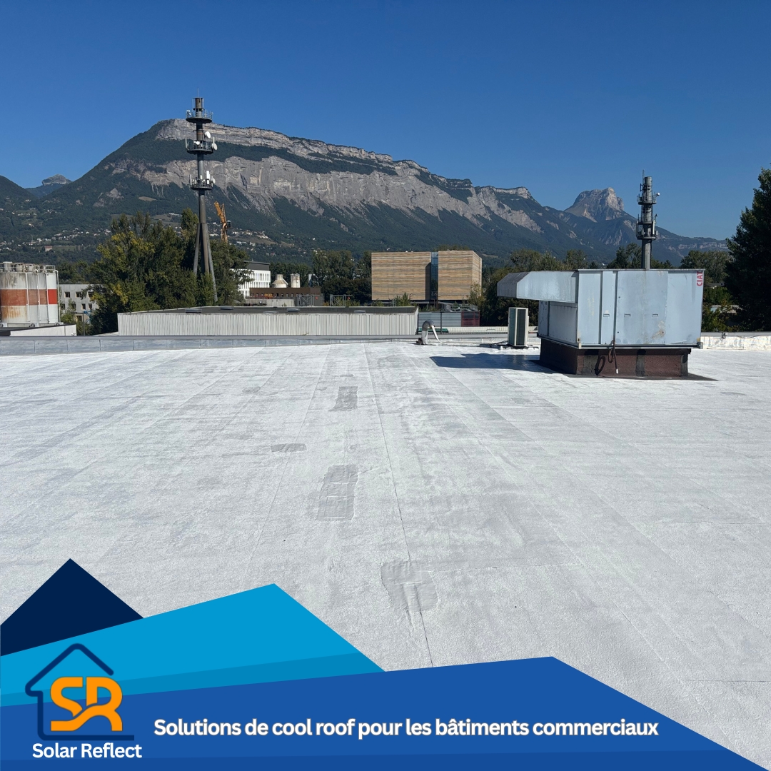 Cool roof baitments commerciaux Lyon